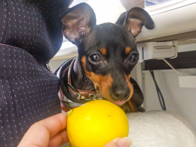 IMG_20190430_164944_補正_1