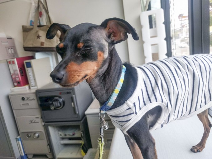 IMG_20190530_124142_補正