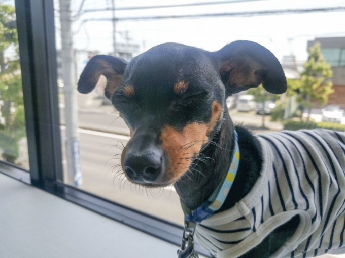 IMG_20190530_124245_補正