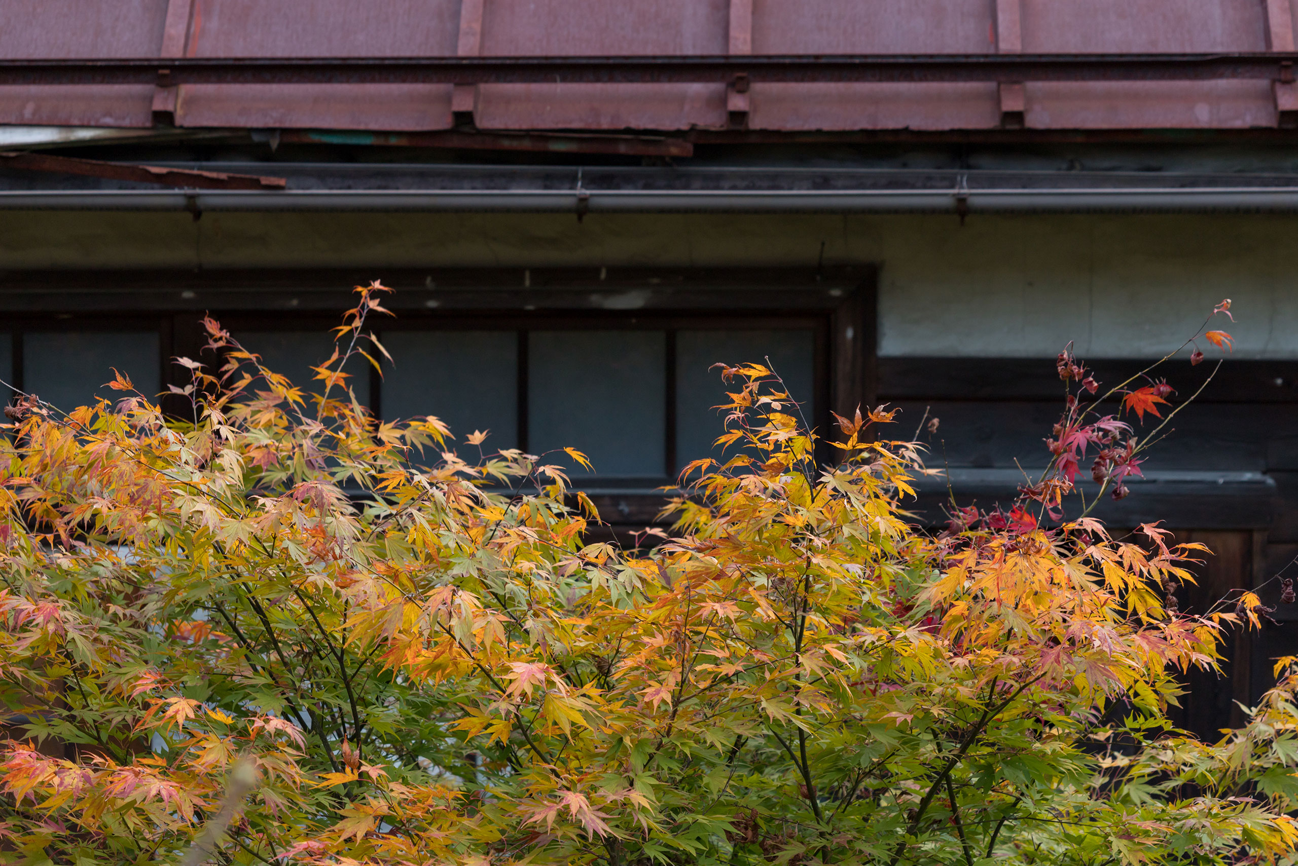 岡山市にお住まいのK様が、「相続した実家を売却し、無理のない住み替えと資金活用を実現した事例」